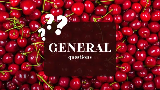General speaking questions – cover