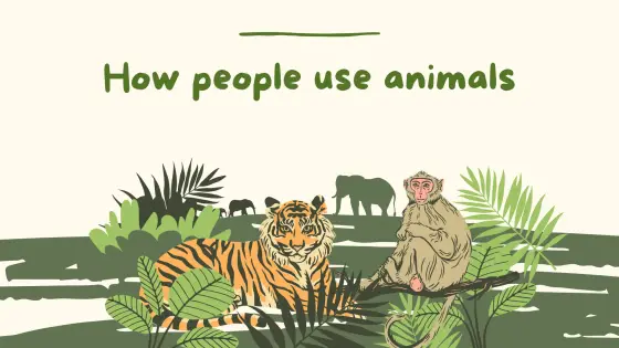 How people use animals – is it ok? – cover