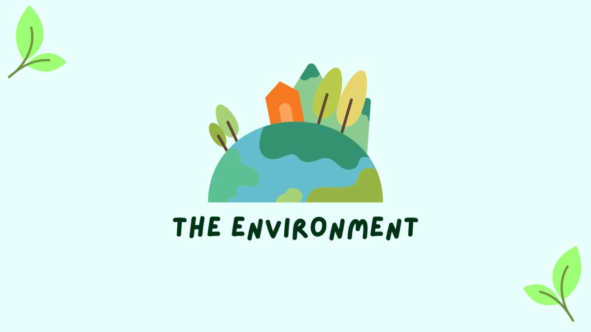 Mini-lesson: weather & environment for A1–A2 – ESL Speaking Exercise ...