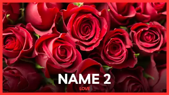 Name 2 – love – cover