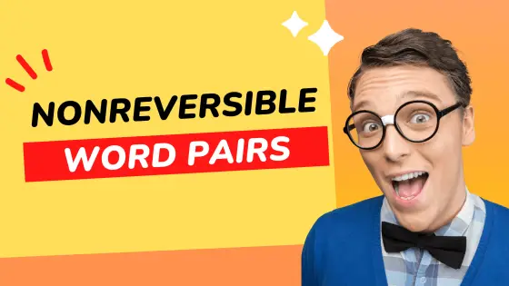 Nonreversible word pairs – cover