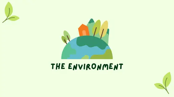 Mini-lesson: environment (level up) – cover
